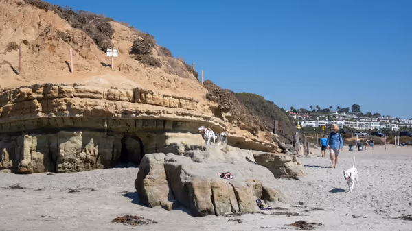 Del Mar Dog Park photo 1